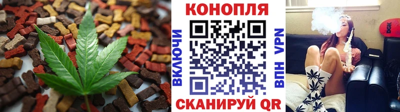 Купить закладки Чита Печенье с ТГК марихуана