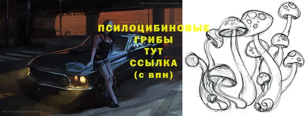 ALPHA PVP Лагань