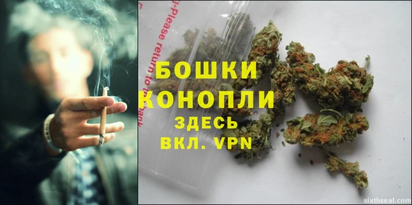 мет Ладушкин