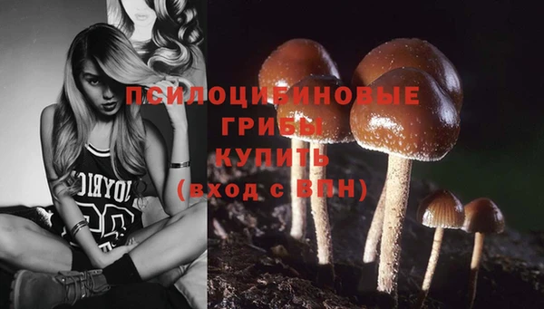 spice Лабытнанги
